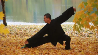 تصویر از تای چی چوان (Tai Chi Chuan)