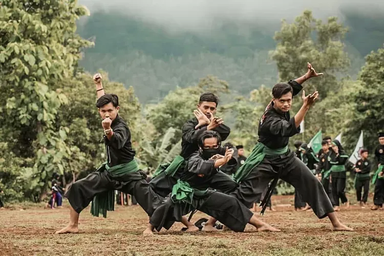 پنچاک سیلات