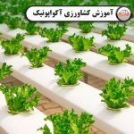 آموزش آکواپونیک
