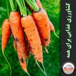 کشاورزی غذایی برای همه