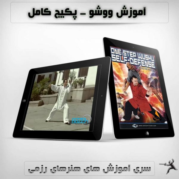 آموزش ووشو