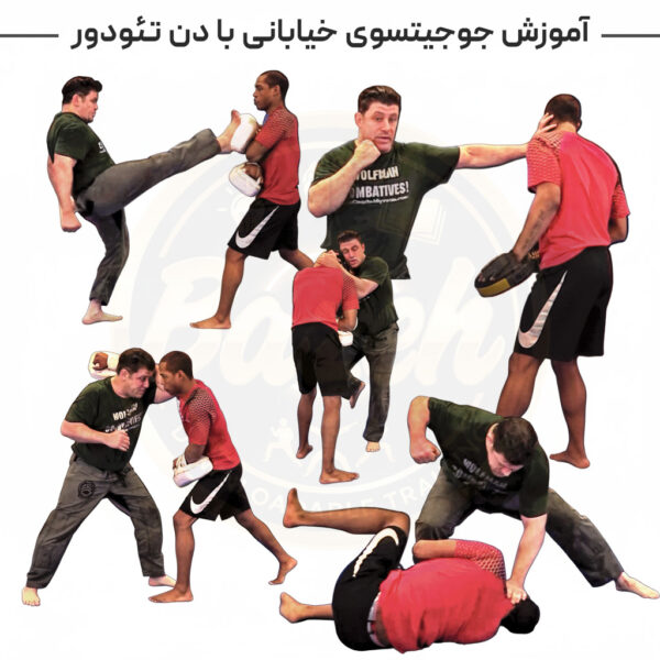 آموزش جوجیتسوی خیابانی با دن تئودور