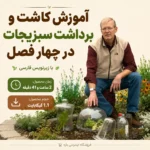 خانه Bill Thorness Extended