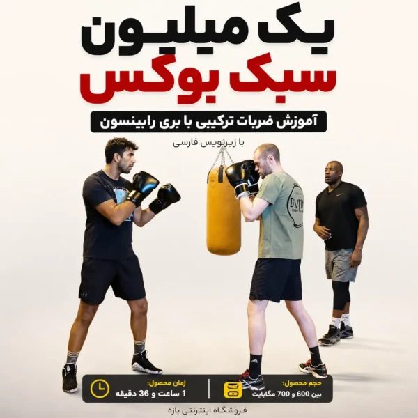 میلیون سبک بوکس: ضربات ترکیبی با بری رابینسون
