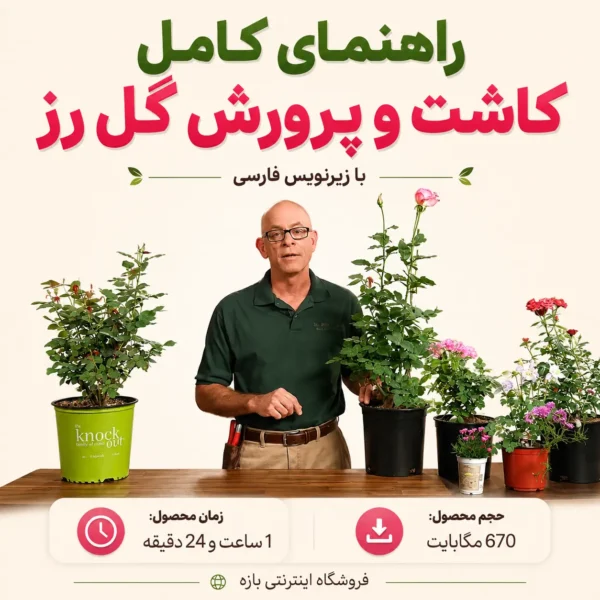 راهنمای کامل کاشت و پرورش گل رز